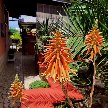 Salento - A Casa Di Lilli 4*