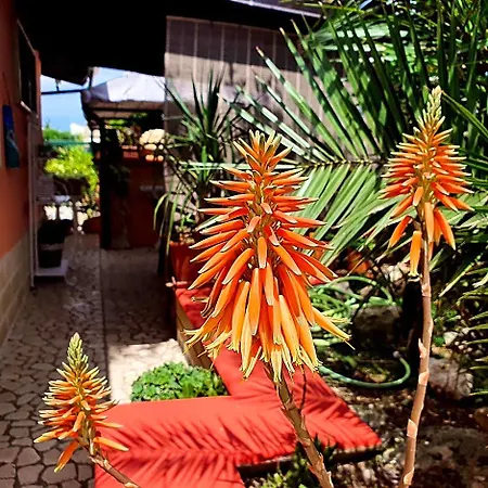 Salento - A Casa Di Lilli 4*